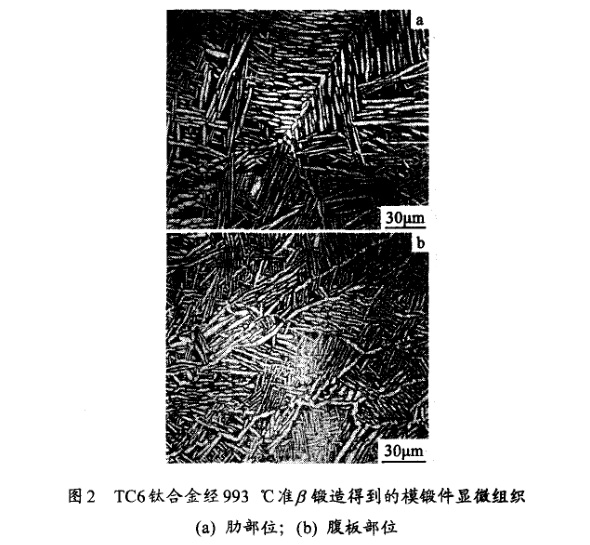 TC6鈦合金經993℃準β鍛造得到的模鍛件顯微組織(a) 肋部位；(b) 腹板部位