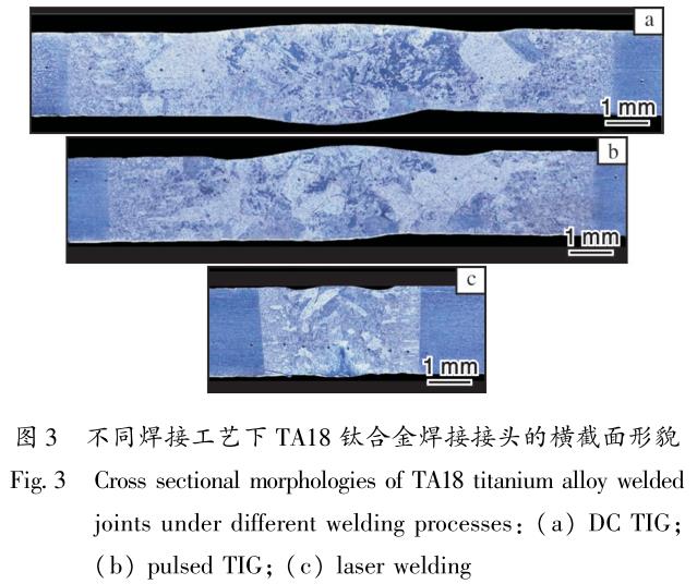 1686218204737299.jpg t3.jpg