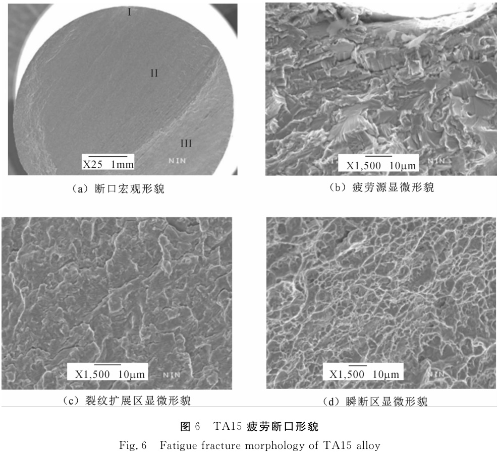 1696408056172250.jpg t6.jpg