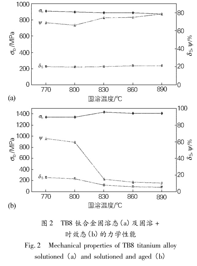 1708008584966173.jpg t2.jpg