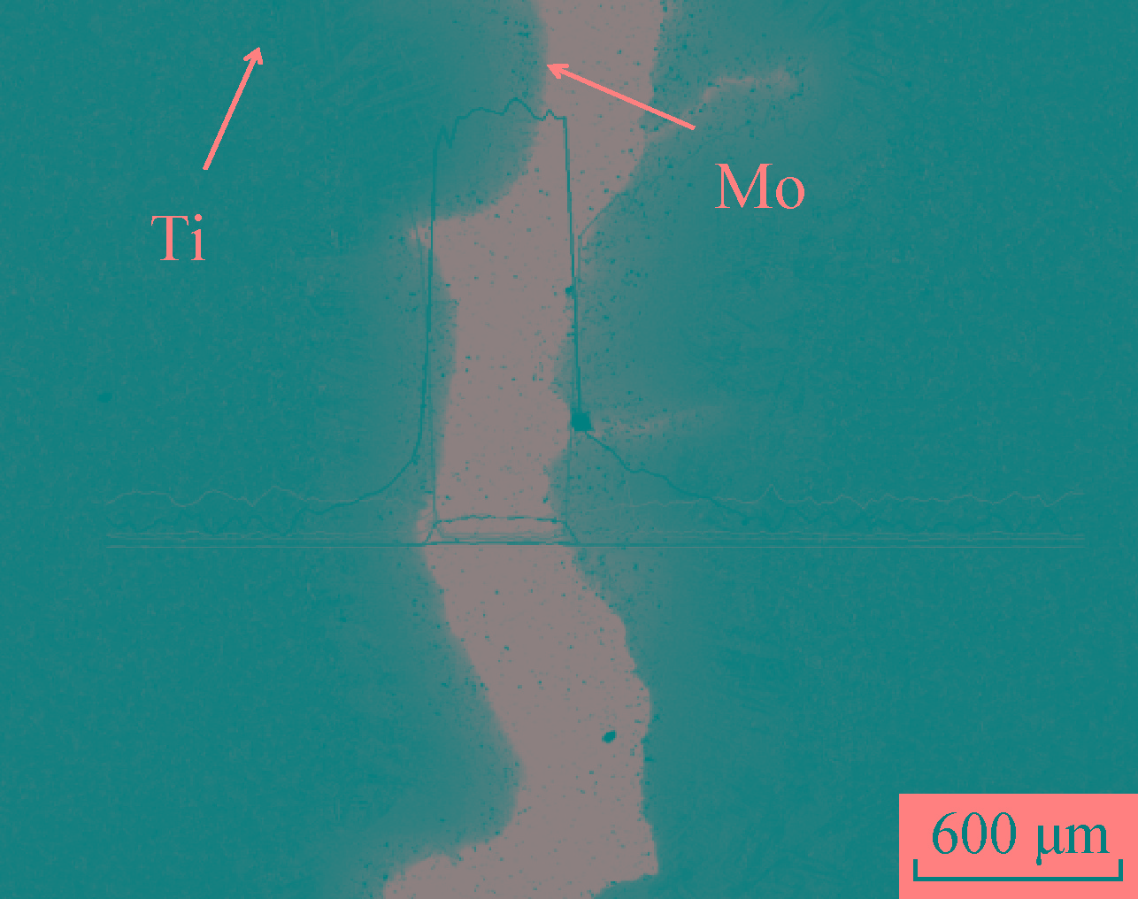 1713924236211254.jpg 9.jpg