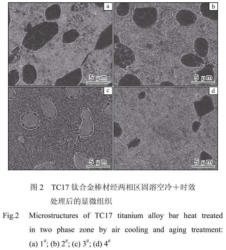 1719969445831157.jpg 2.jpg