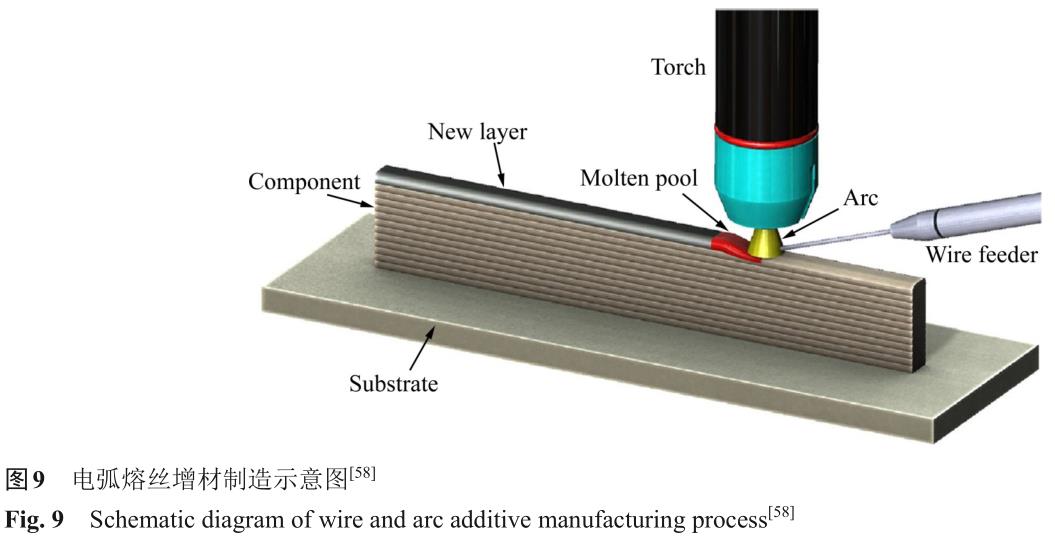 1724665084770194.jpg t9.jpg