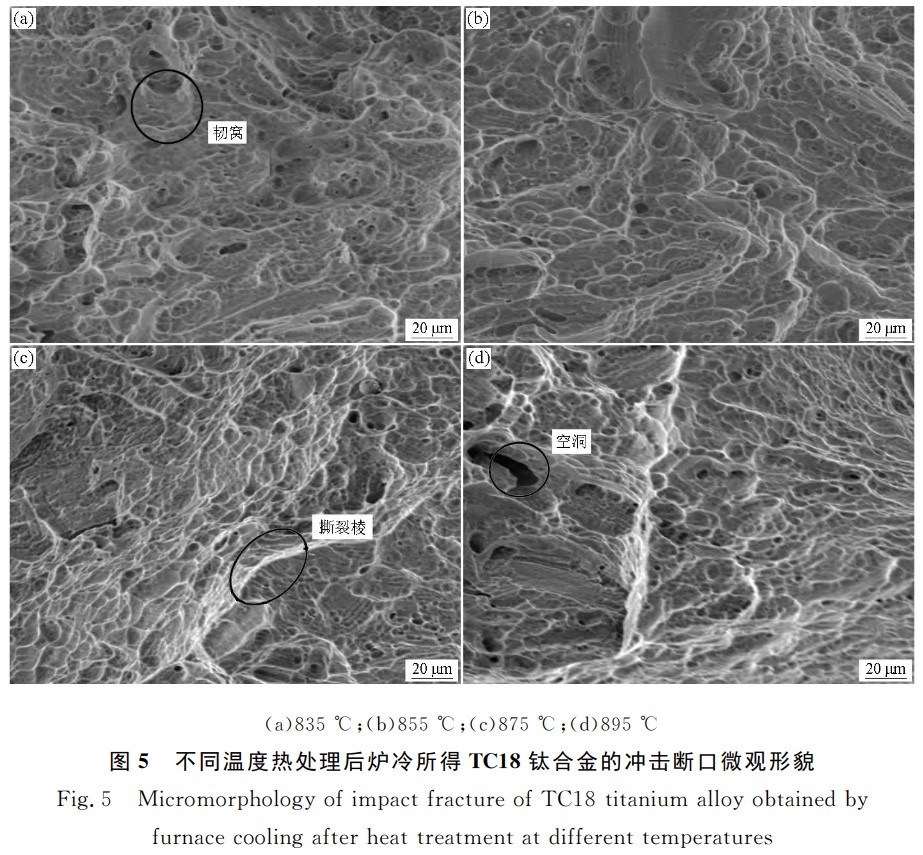 1731157733901932.jpg 5.jpg