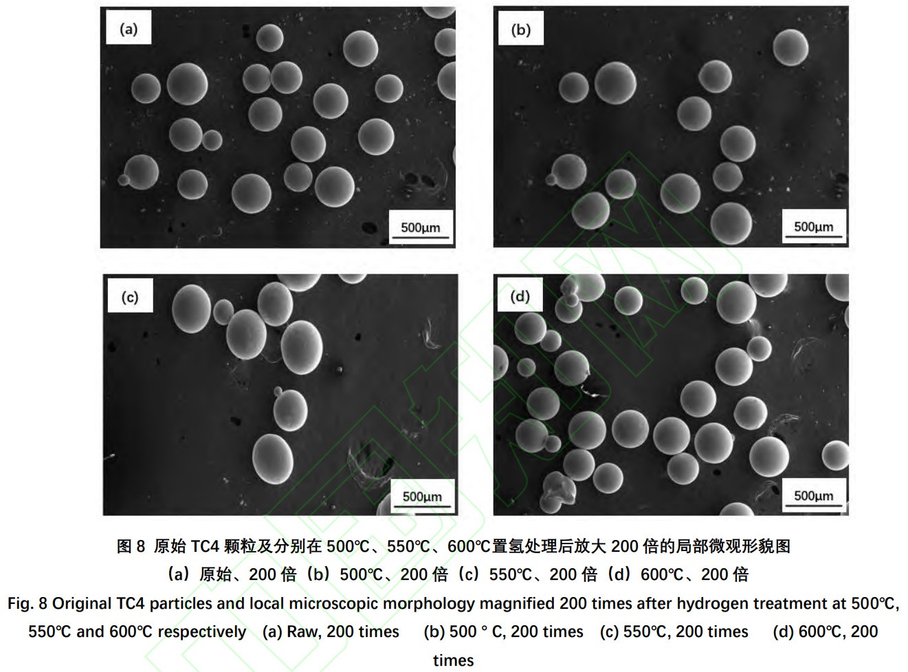 1734250675265267.jpg 8.jpg