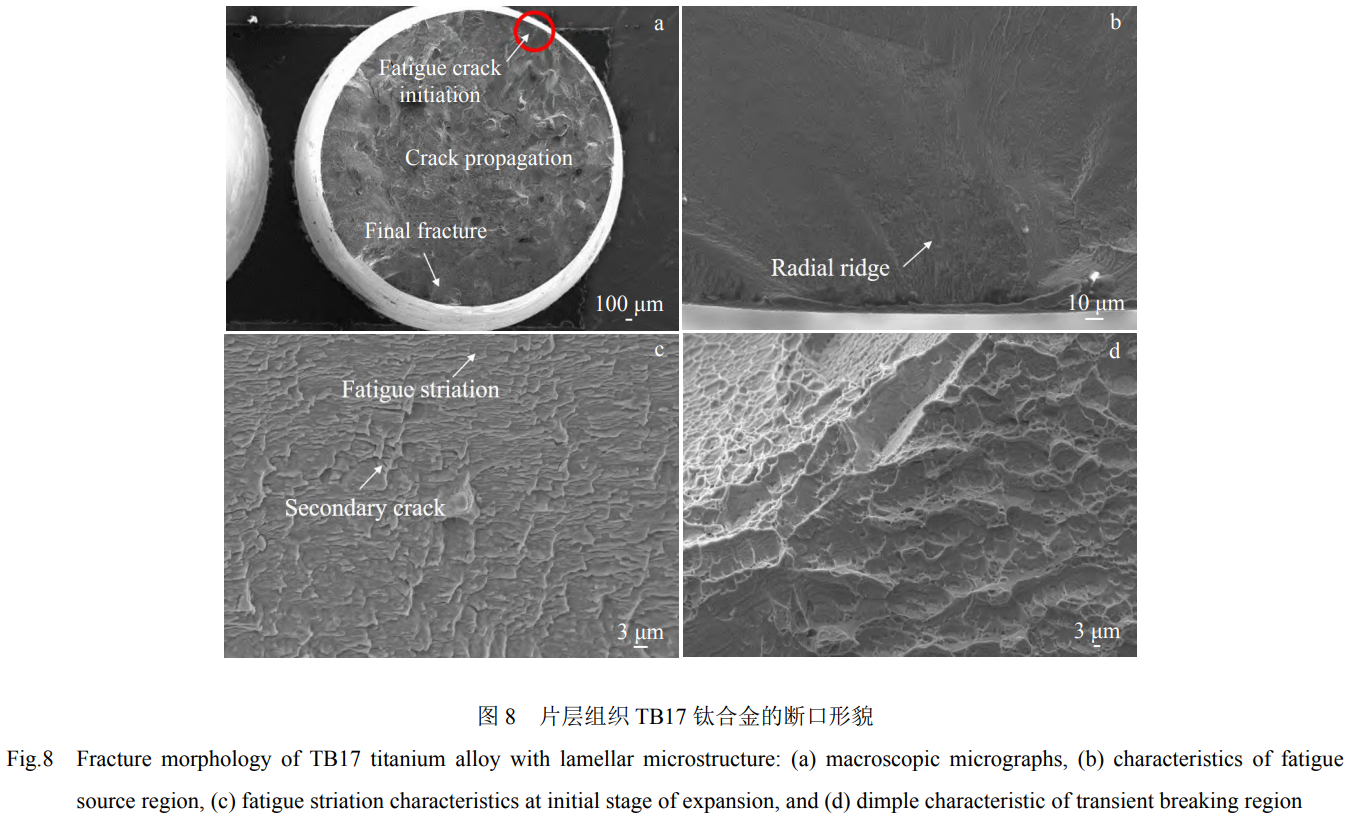 1760946534173121.png 截圖20251020154617.png