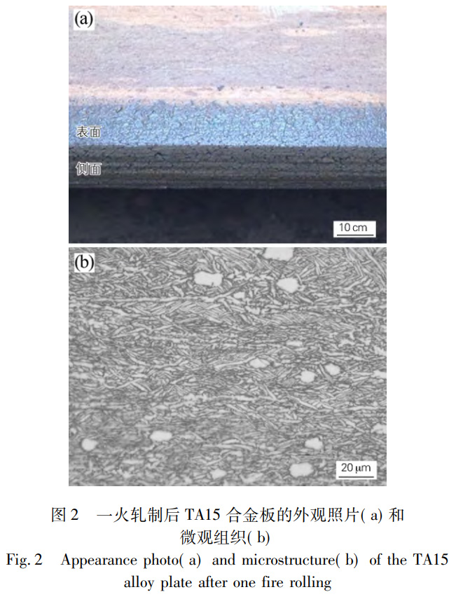 1765165042368099.jpg 2.jpg