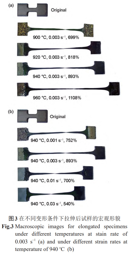 1765683332644849.jpg 3.jpg