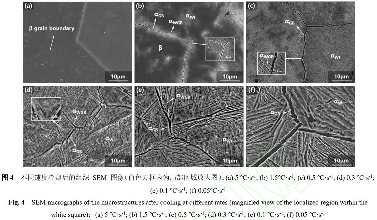 1766821165590768.png 截圖20251227153328.png